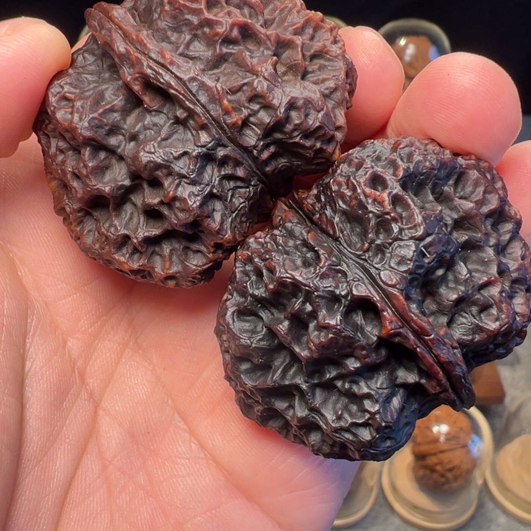 文玩核桃把件苍山神鹰47mm