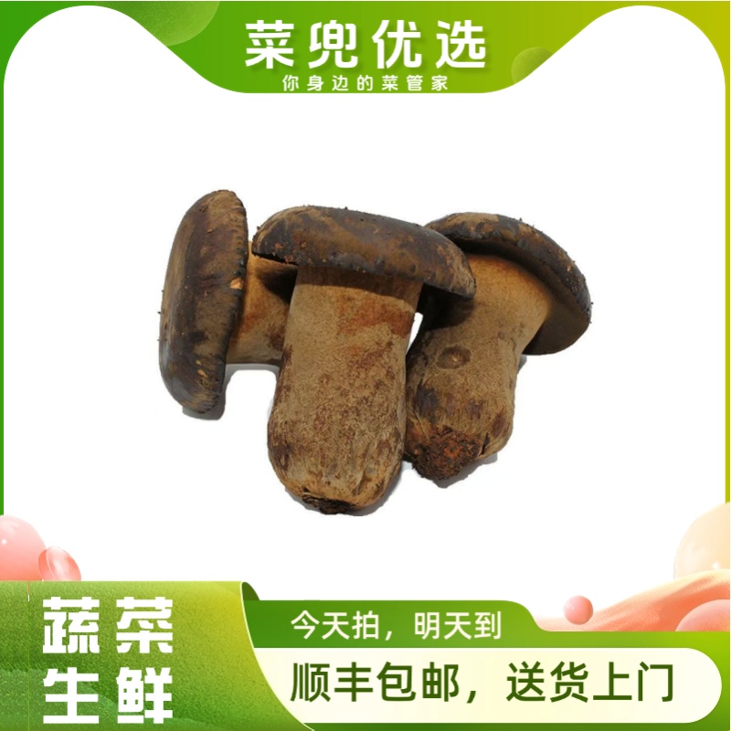 牛肝菌 150g±5g/份（干货表皮脏正常、介意勿拍）