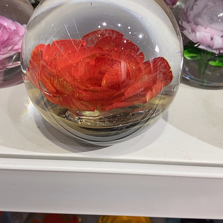 陌****）12256332253352555