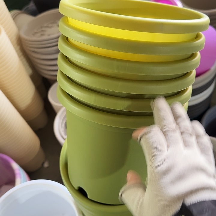 瑕疵3#口径21果绿10个无托