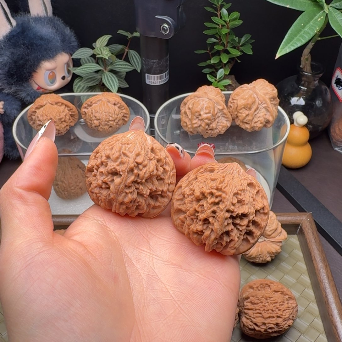 把件龙脊菩提全品满天星42