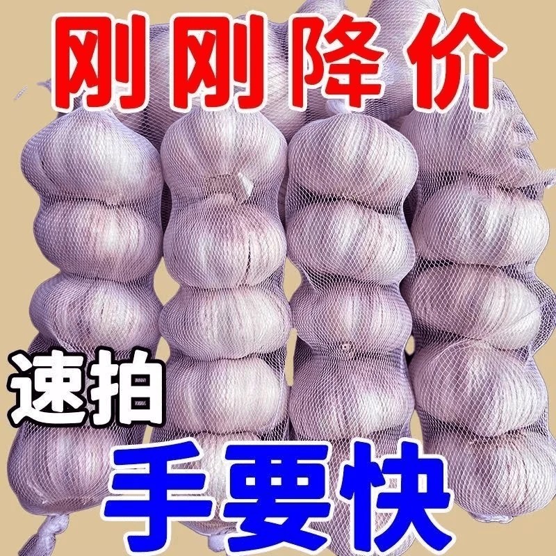 2025新蒜大蒜正宗紫白皮大蒜大蒜头干蒜2斤3斤5斤大蒜可种植100g