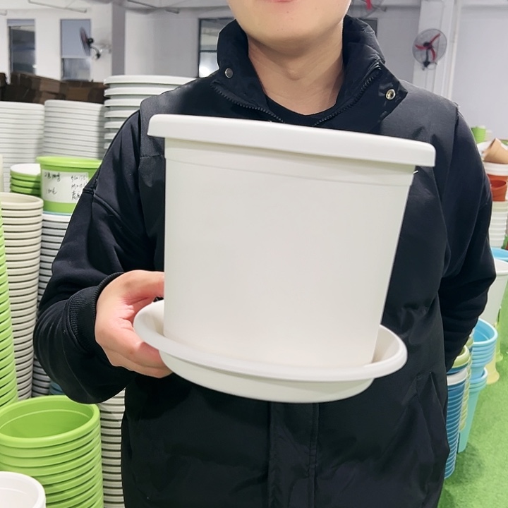 特价3号21高18白色10只带托