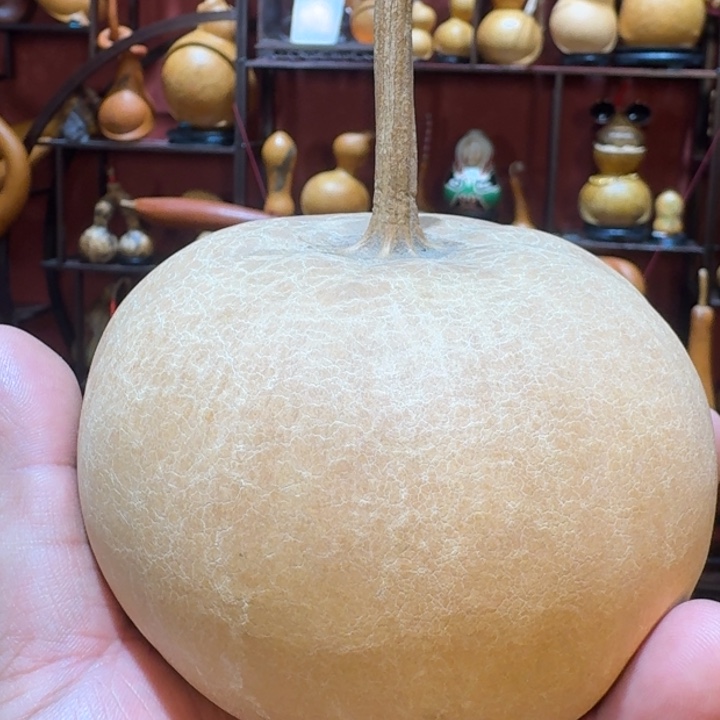 安***逸大叶紫檀（黑酸枝木类）