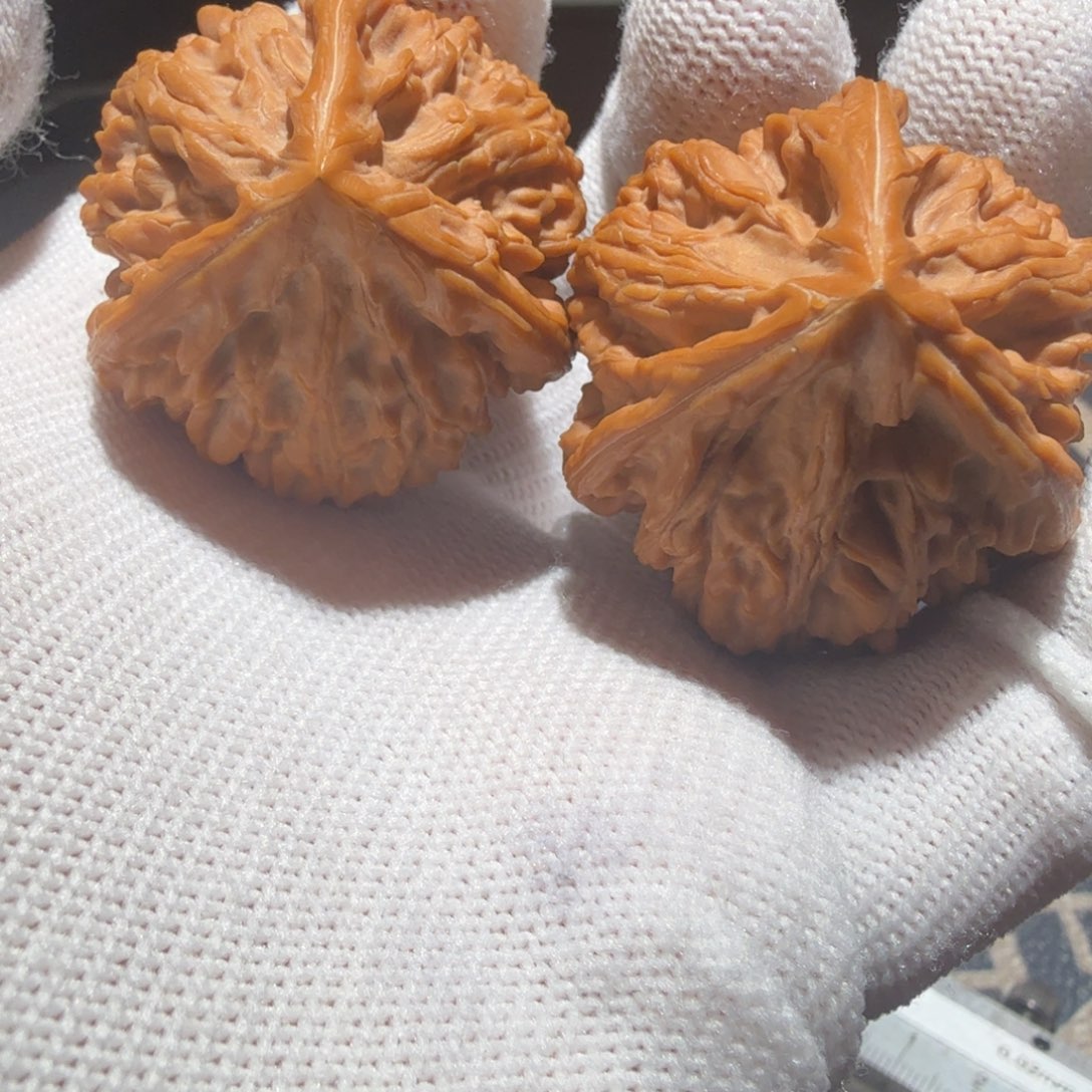 吊坠文玩核桃御龙正奔