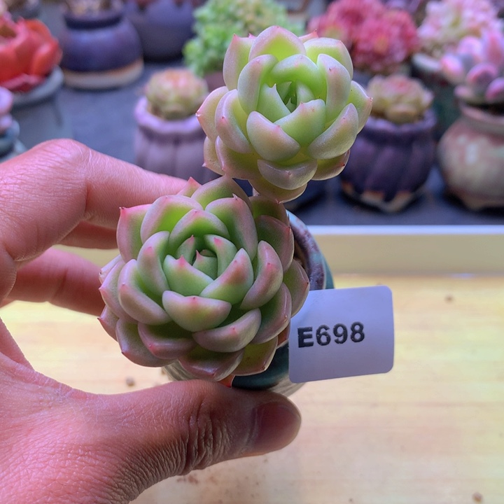 一物一拍满38包邮 E698
