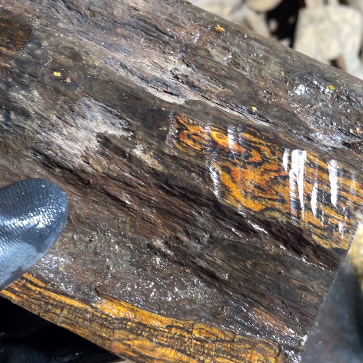 M****贡木把件感谢大家