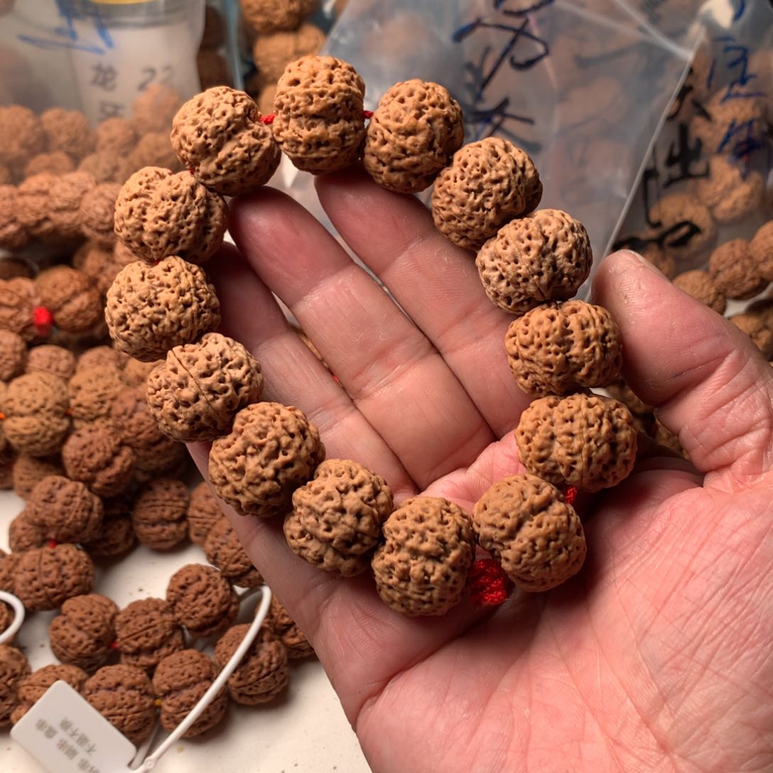 金刚菩提手串王**?22龙牙梅花第三棵树超头