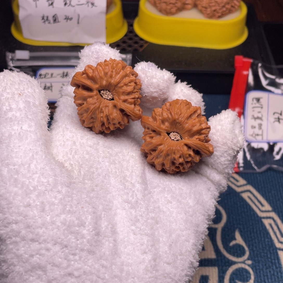 游***?42全品龙门涧！！！！！！！！！！！