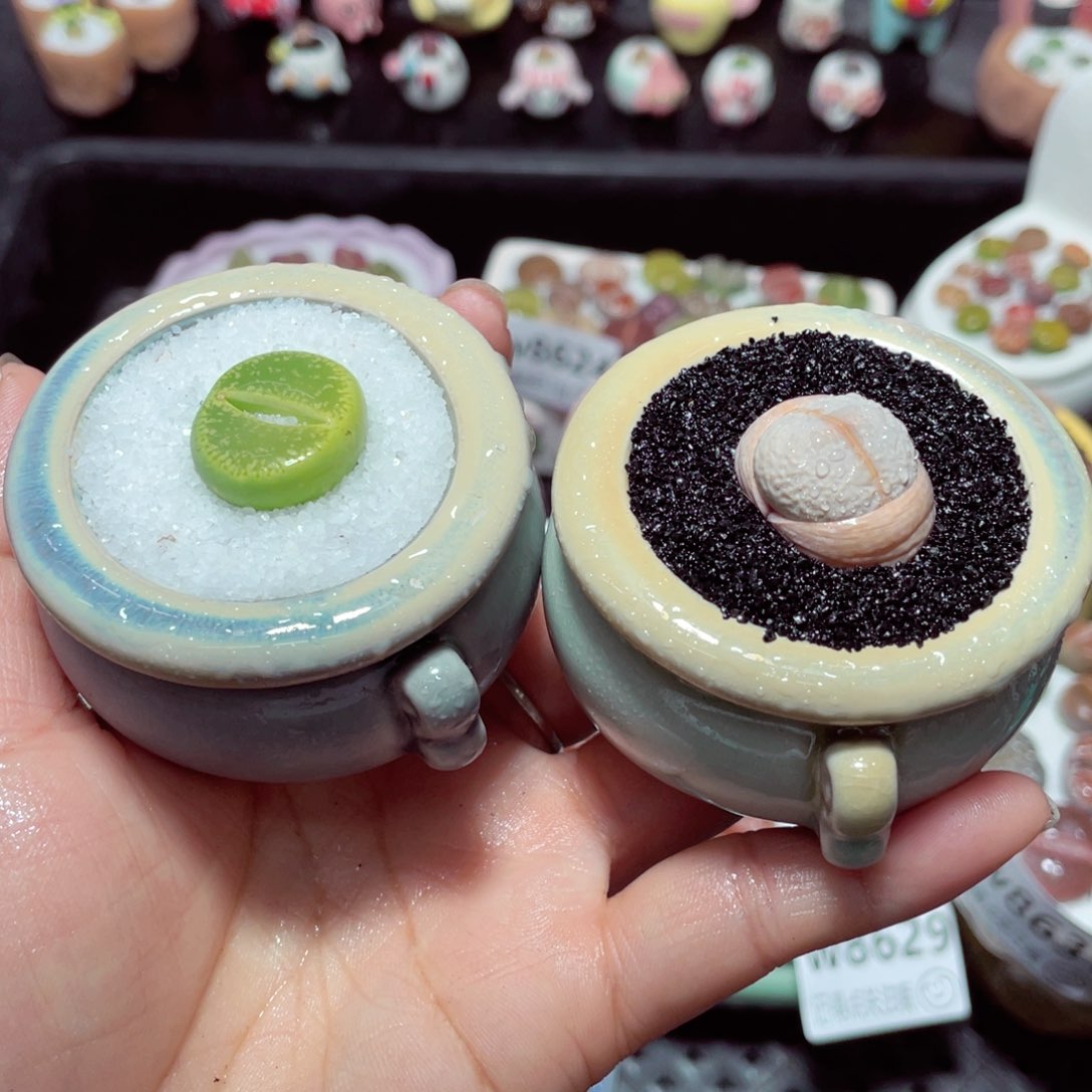 w8634 带盆土发货-零下地区拍保温箱