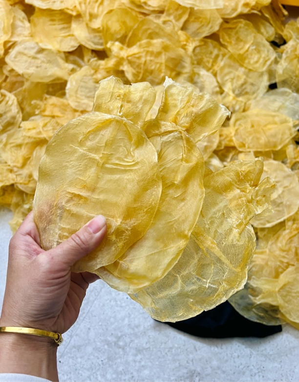 野生甲肚鱼胶/蜘蛛胶