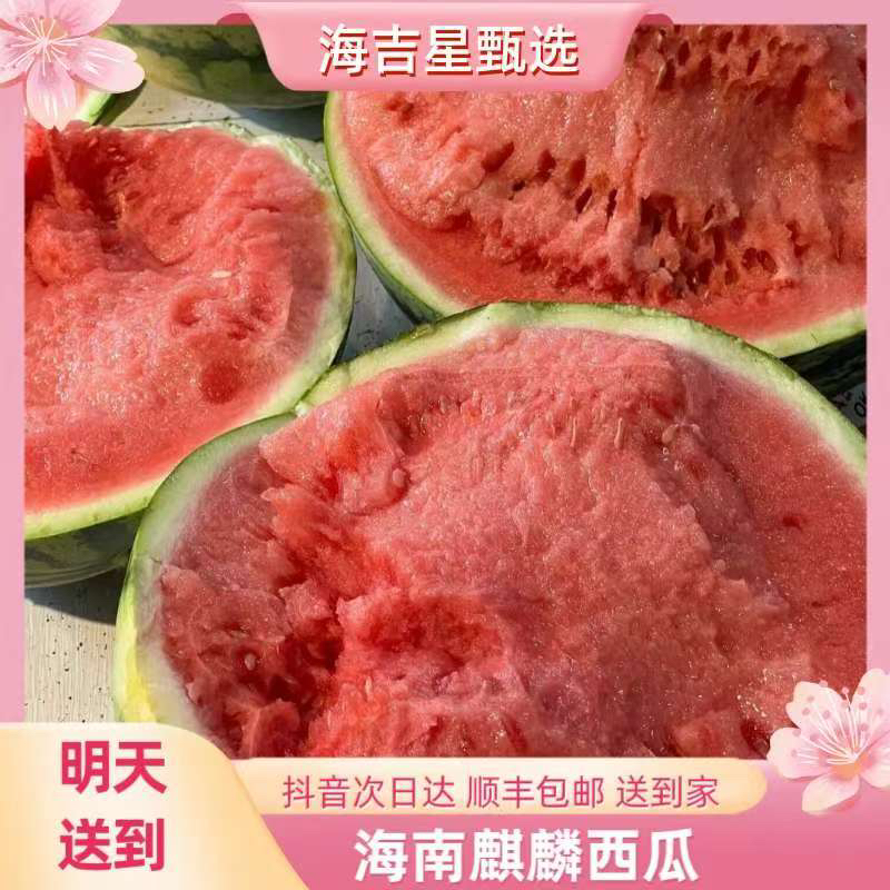 ［海吉星全球农批中心］海南美都麒麟瓜西瓜4-7斤新鲜海南省