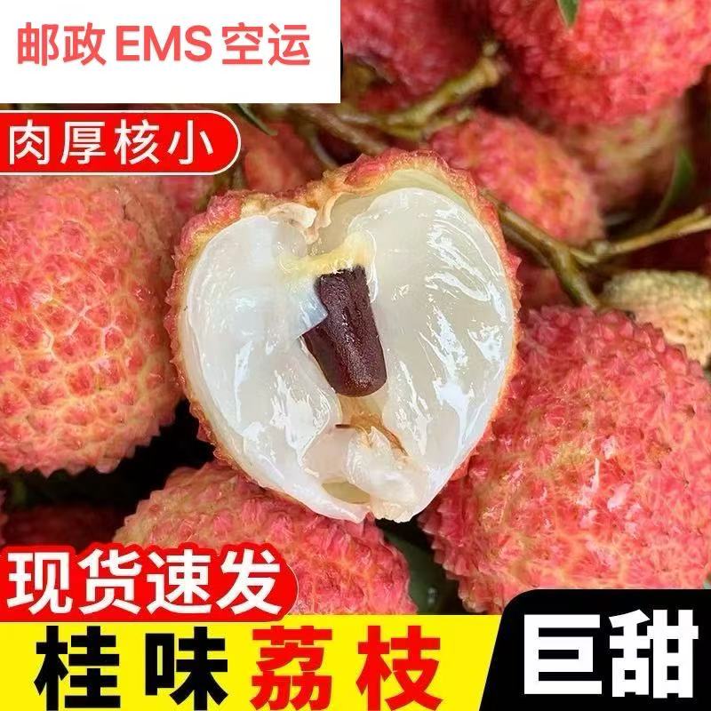 （省外空运）广东廉江桂味荔枝新鲜现摘发货