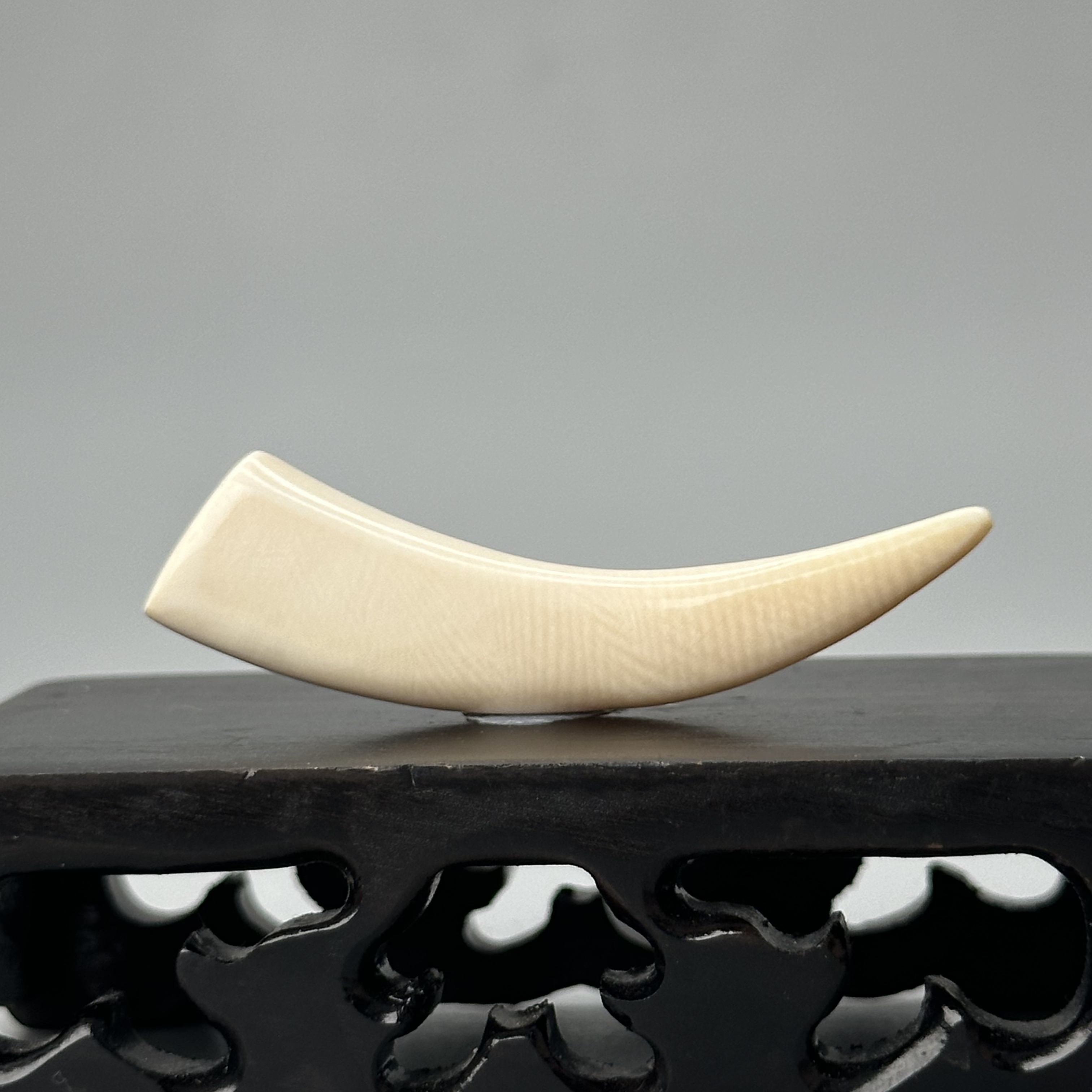 DEZHI/德志3.8g纯肉牙尖51*12*7mm天然猛犸牙默认打孔绑绳P288