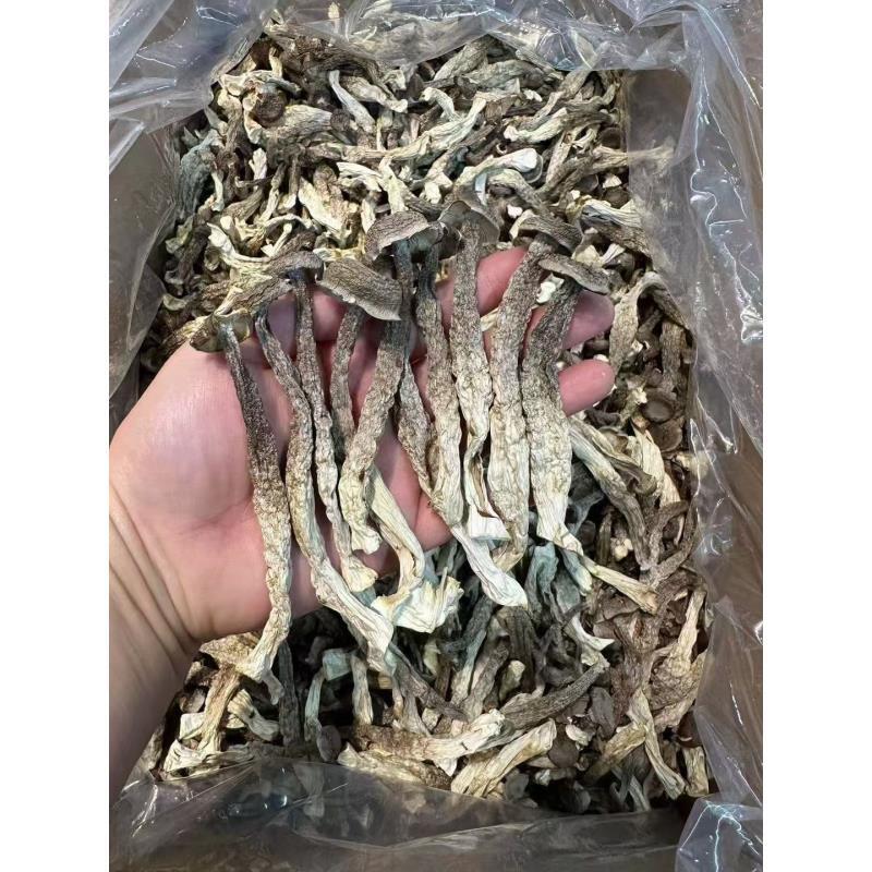 优质好货鹿茸菇500g