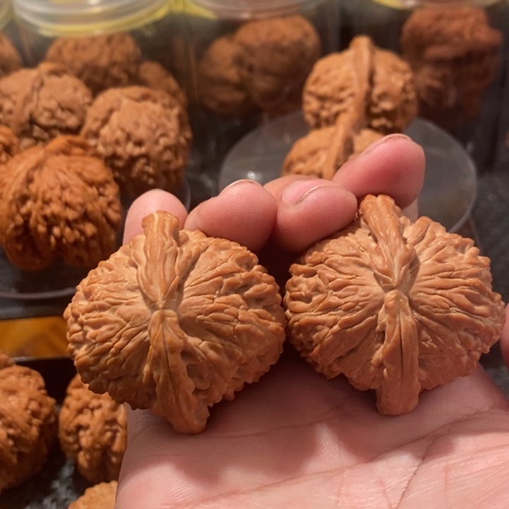 文玩核桃把件全品白狮子44