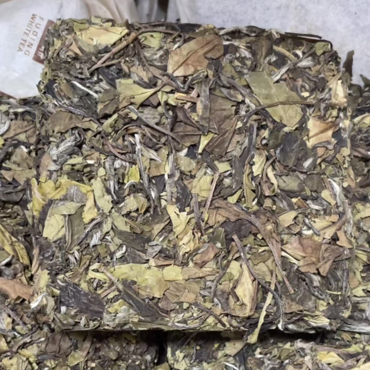 临时链接 2023春寿眉茶砖100克