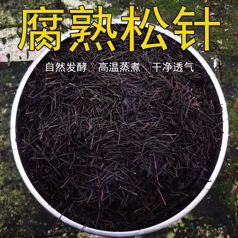 腐熟松针土云南特色松针马尾松自然腐熟松针叶兰花专用营养土植料