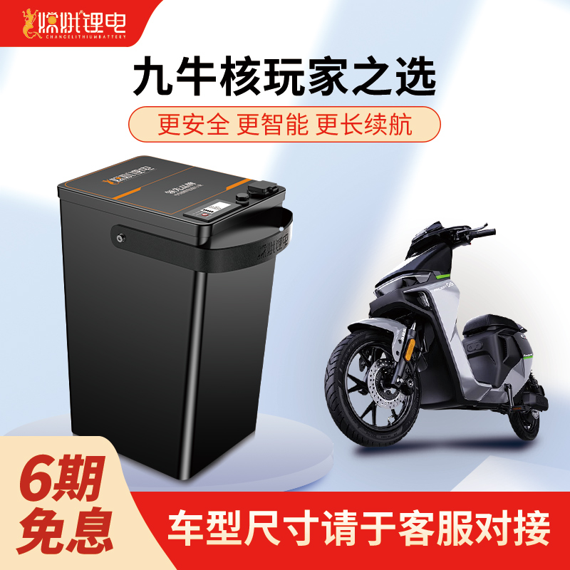 嫦娥52V长续航锂电池运动玩咖家用外卖用摩托车专用小牛极核九号