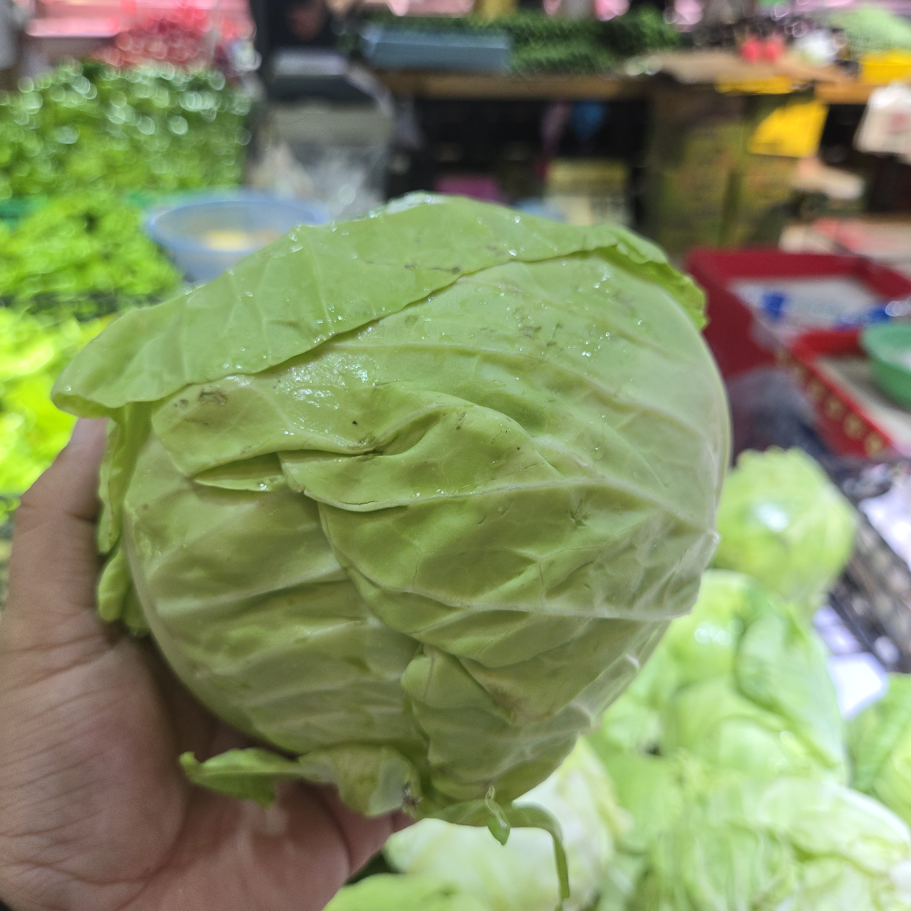 百惠优选大头菜新鲜大头菜