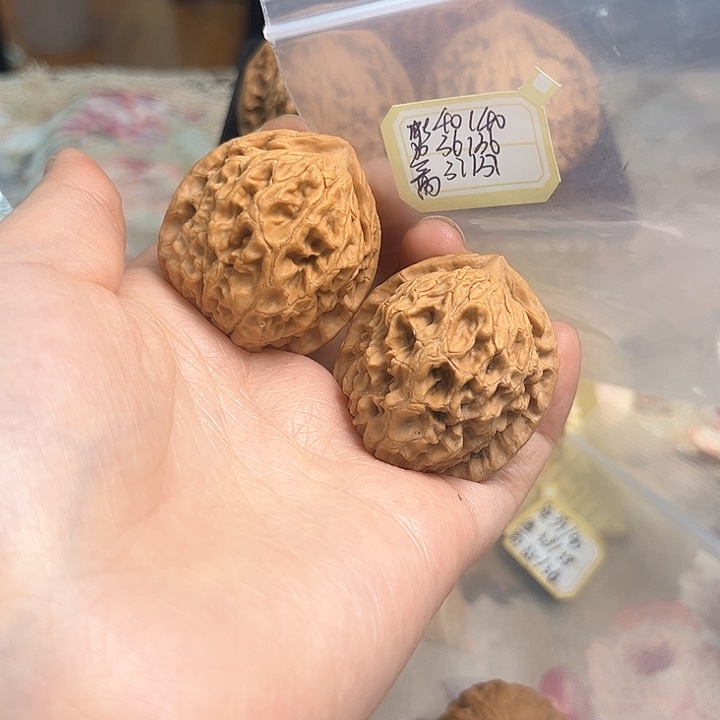 文玩核桃把件非嫁接元宝