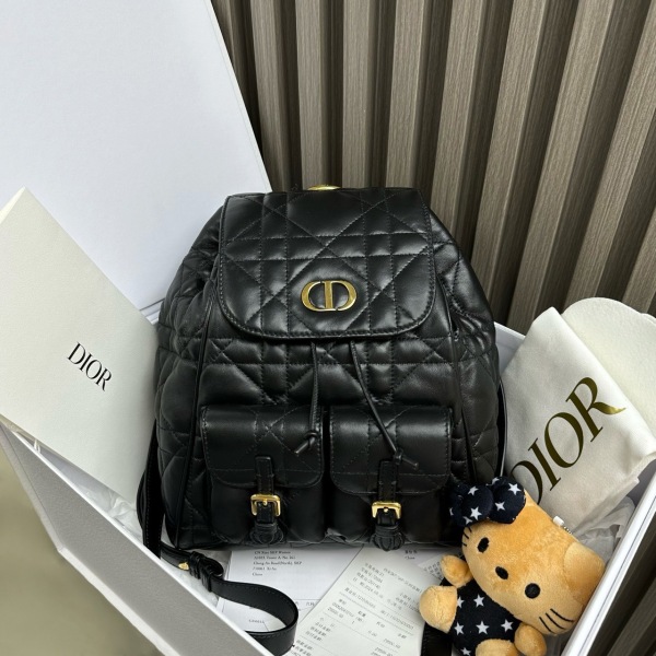 95新/包包/迪奥/250215LL0050