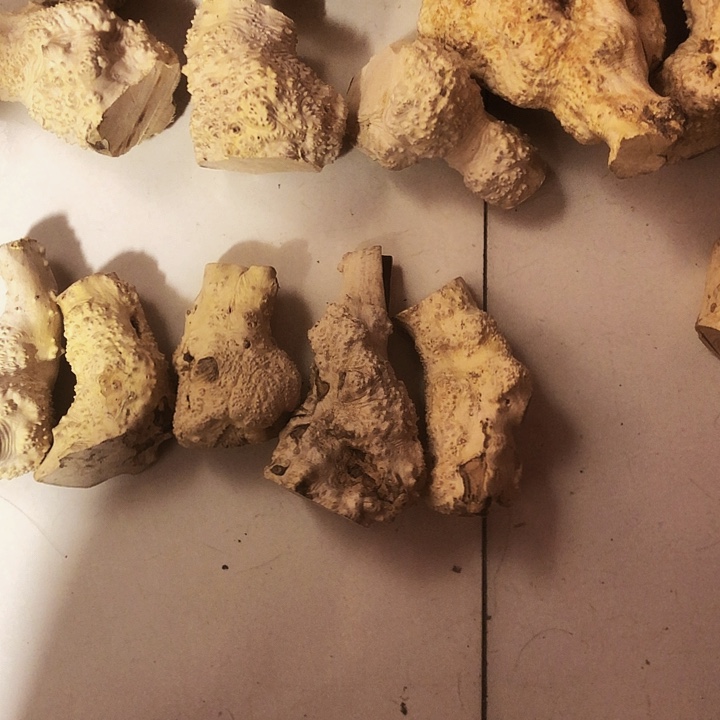 赏***阁木木料木料木料木料