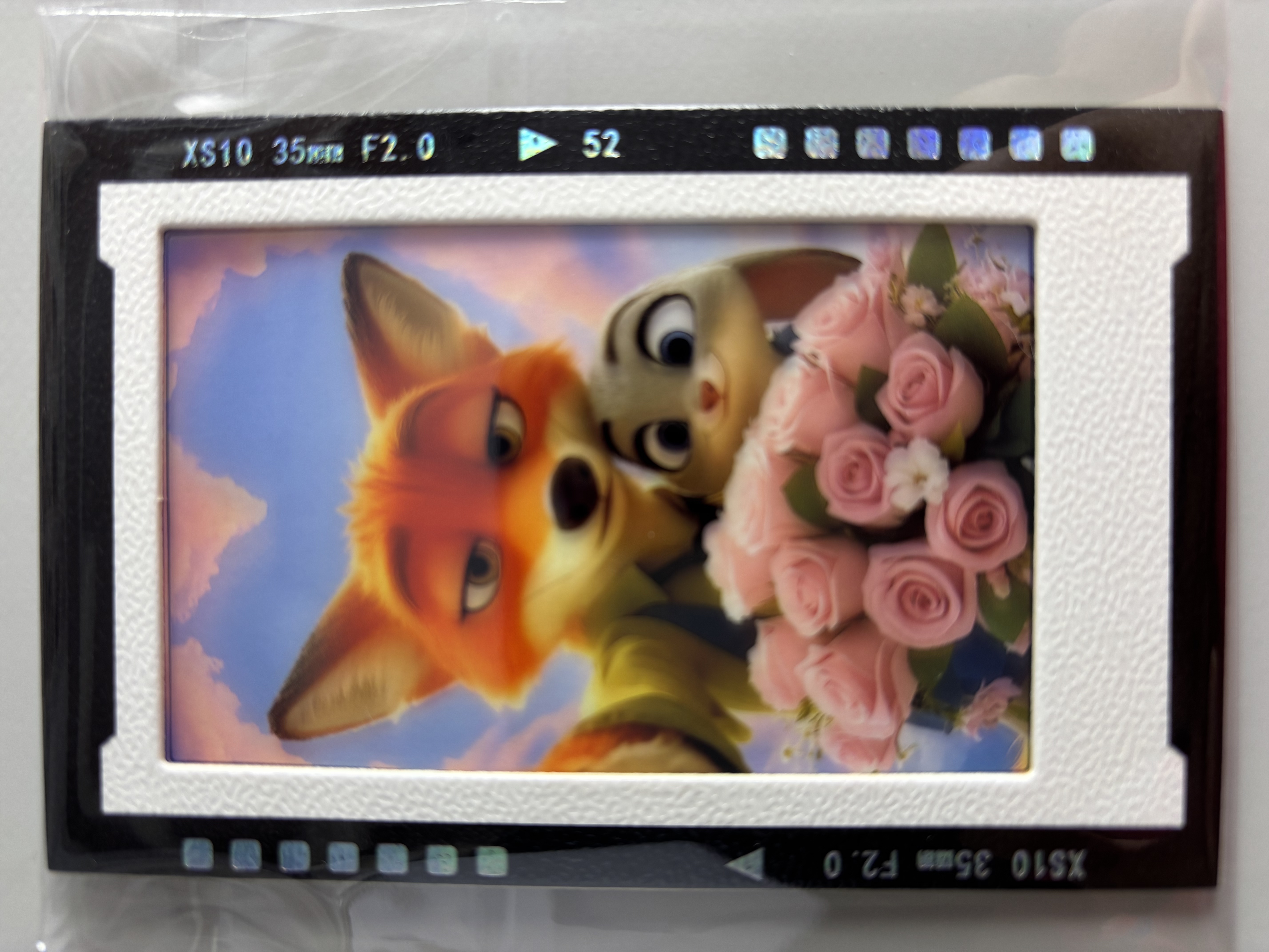 疯狂动物反转胶片/二次元收藏（光影卡）