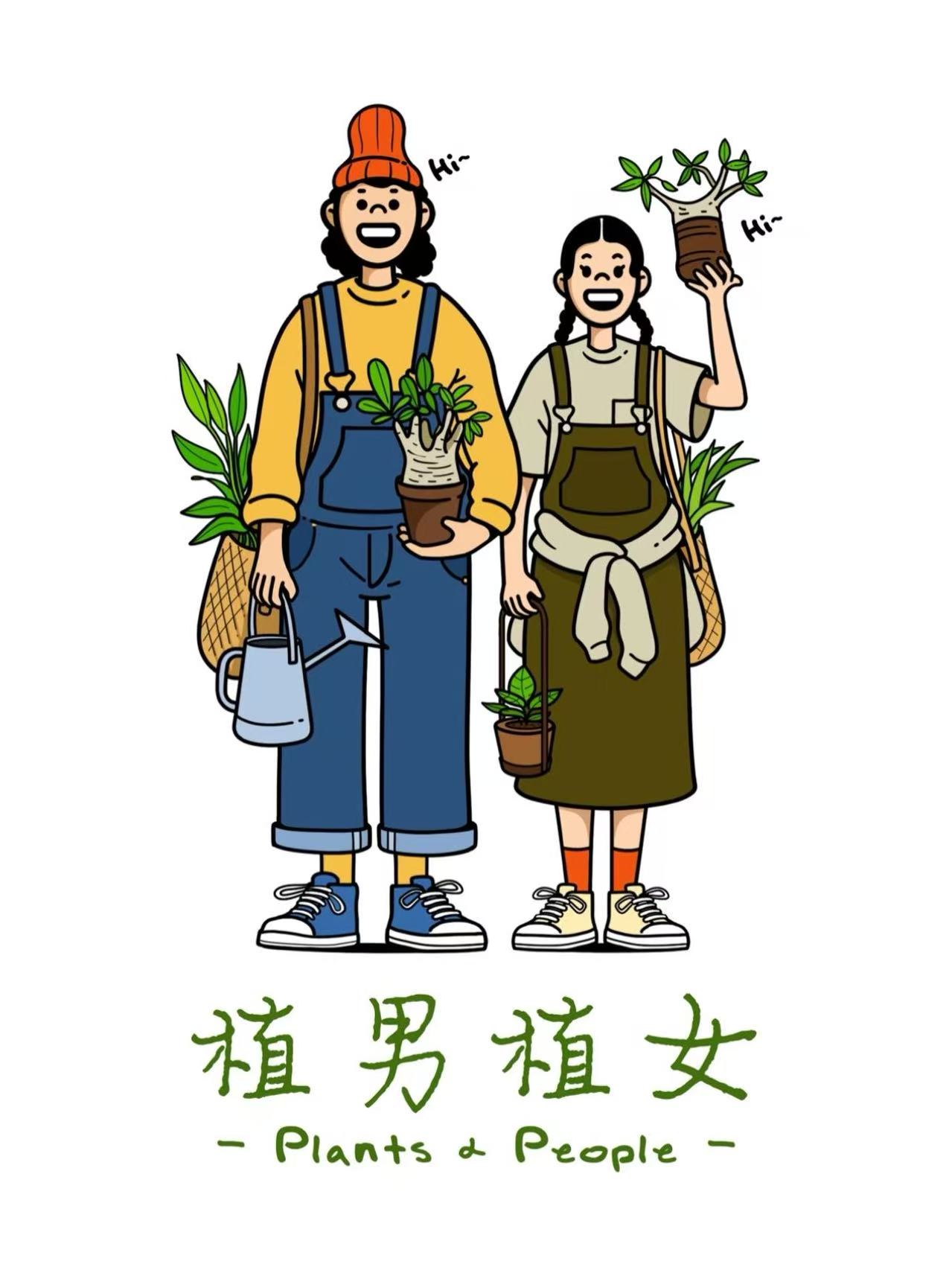 秋海棠一物一拍 无售后 介意勿拍 备注手机尾号