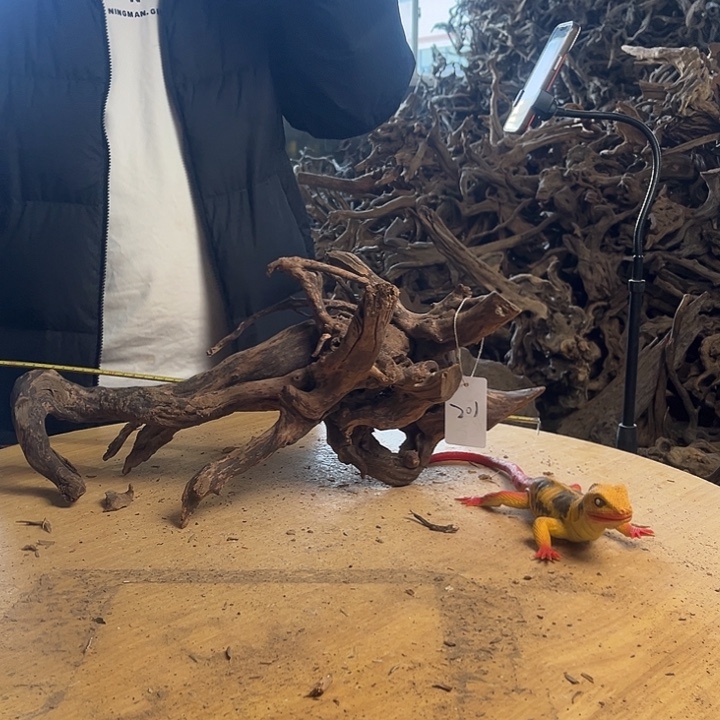 木482022 鱼缸造景根雕摆件201