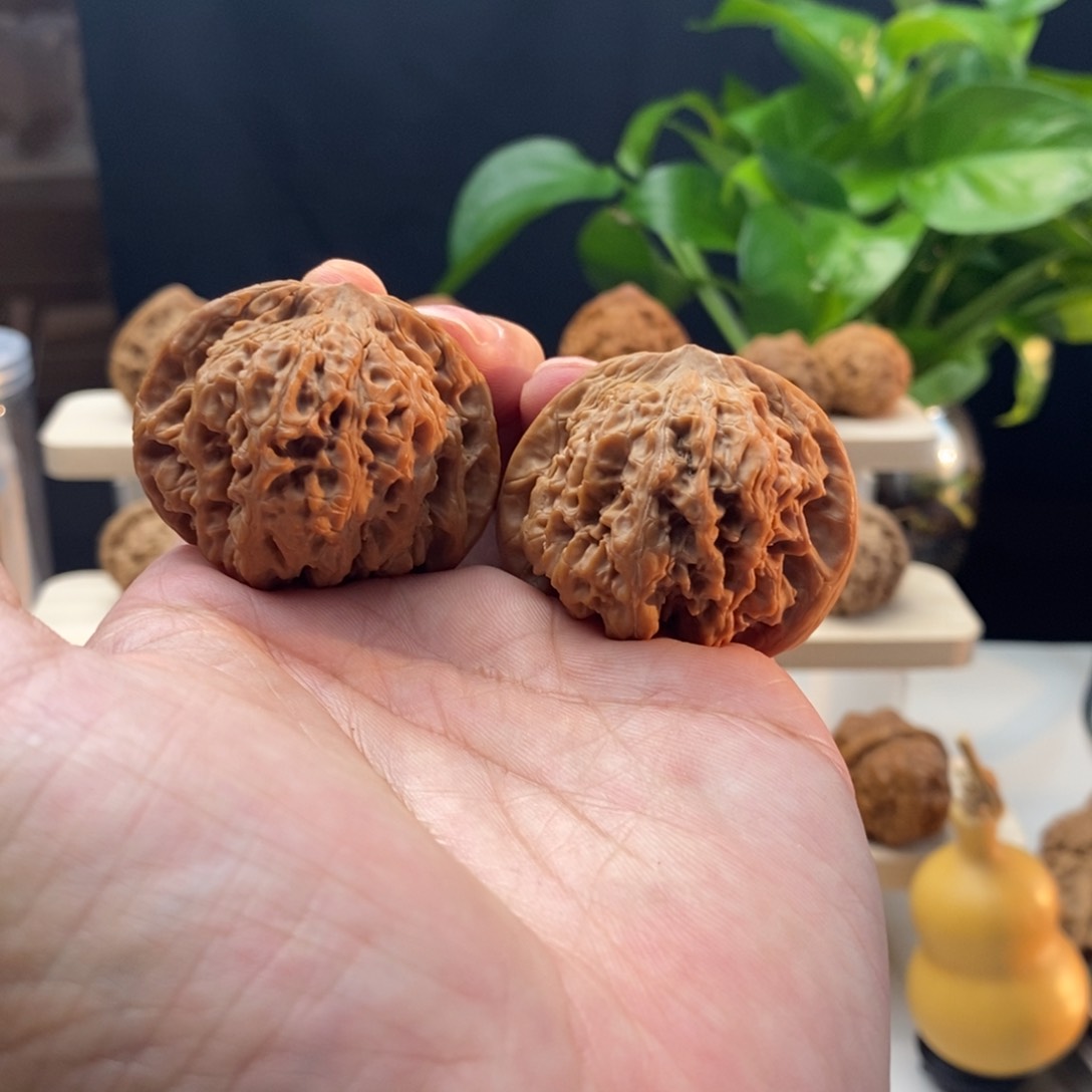 全品无修龙洞峪43/39.5/37……