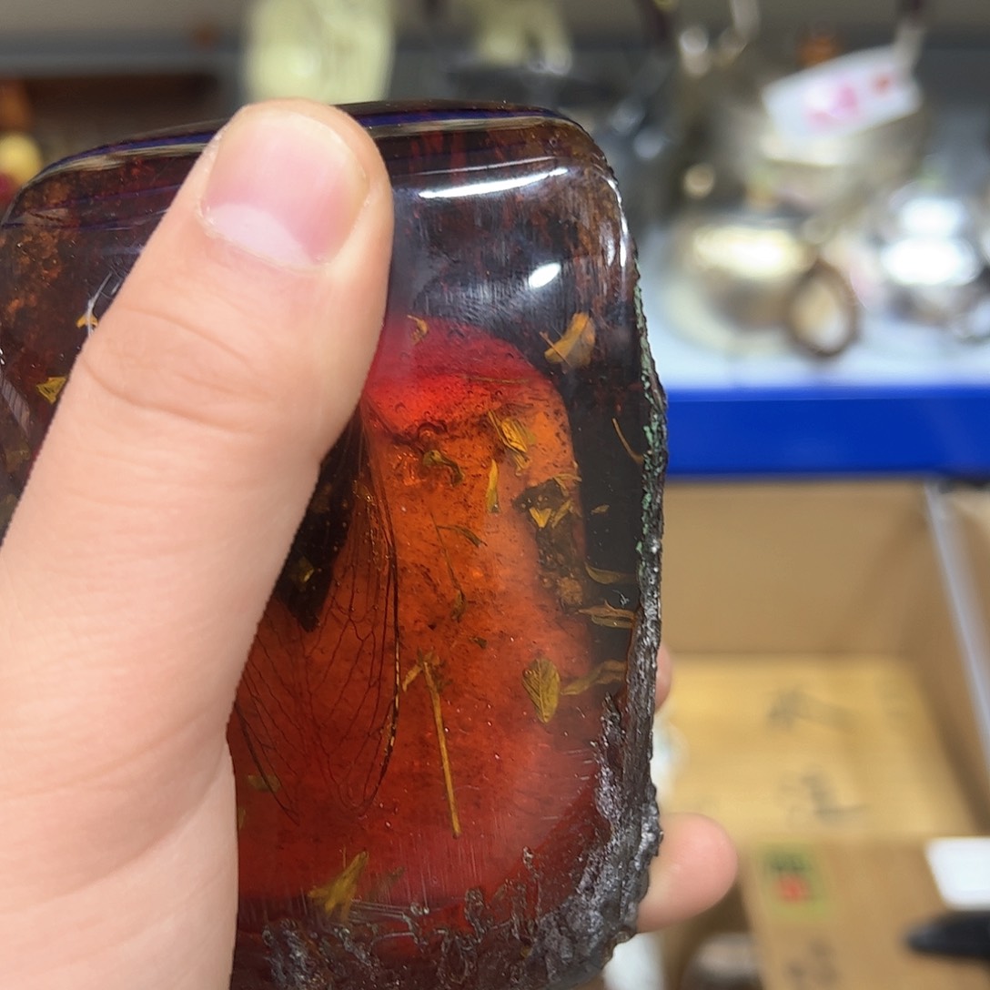 茶盏我们的生活方式是什么