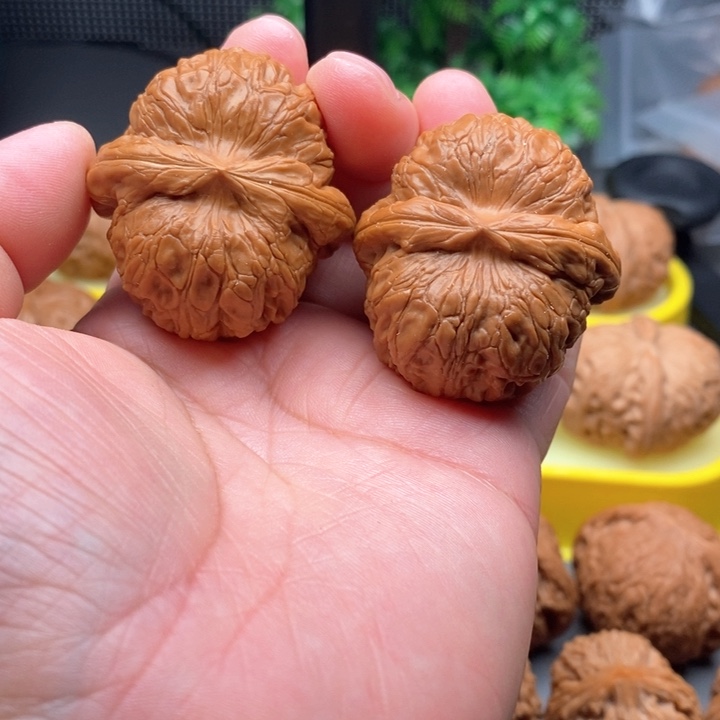 文玩核桃把件乌**哥元宝