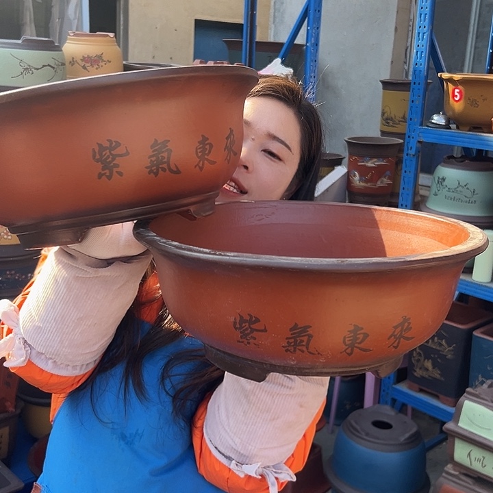 3030小红花盆花盆花盆