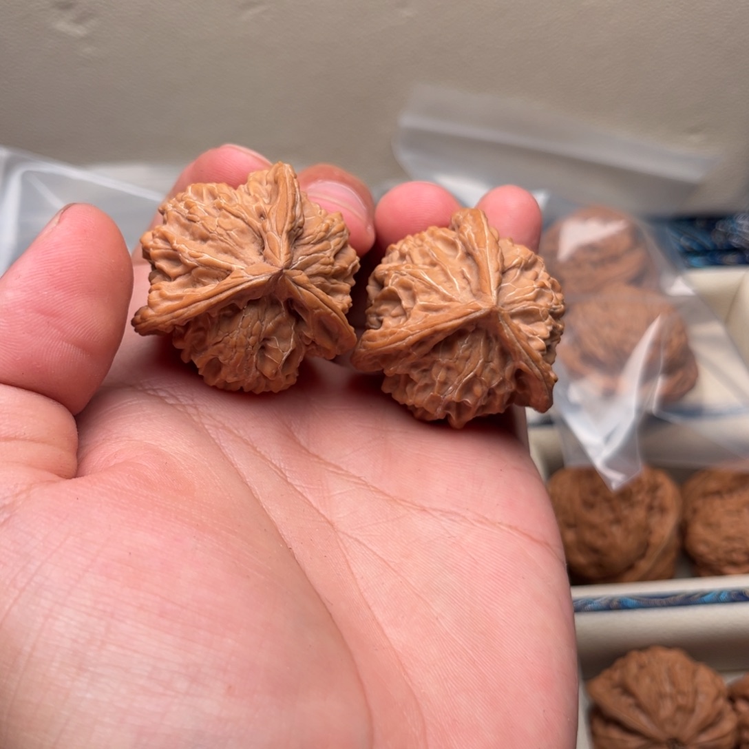 38全品盘山三楞精对