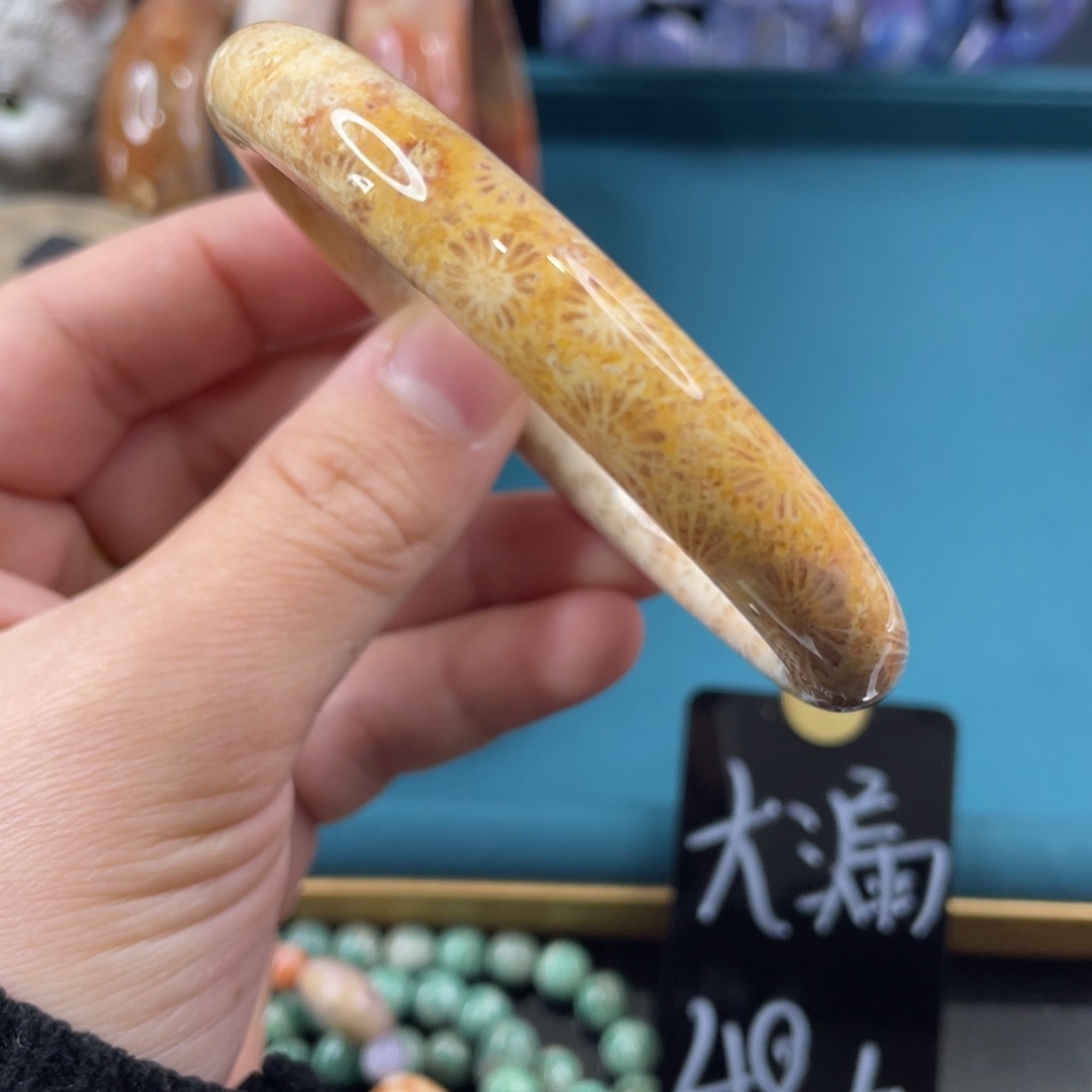 未镶嵌手镯硅化玉