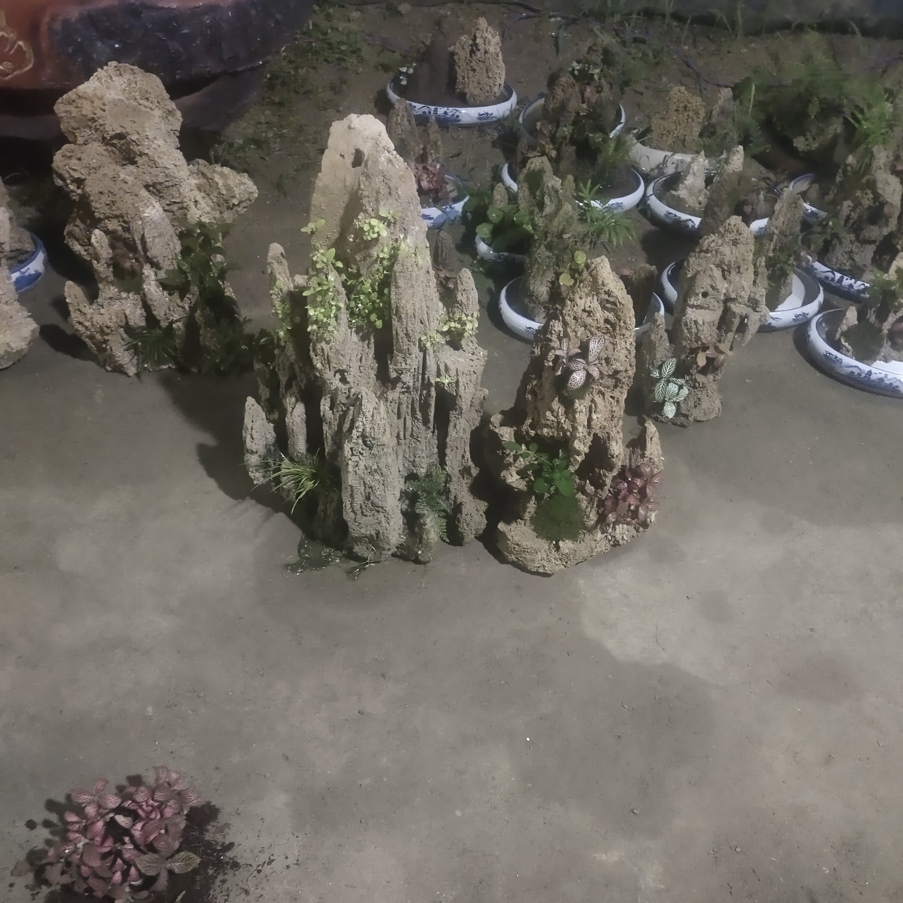 天然吸水石质地疏松多孔吸水性强可用于盆景制作与鱼缸造景