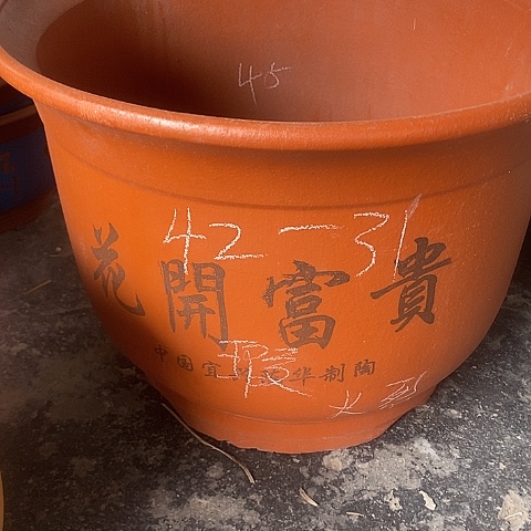 紫砂中国宜兴紫砂花盆，