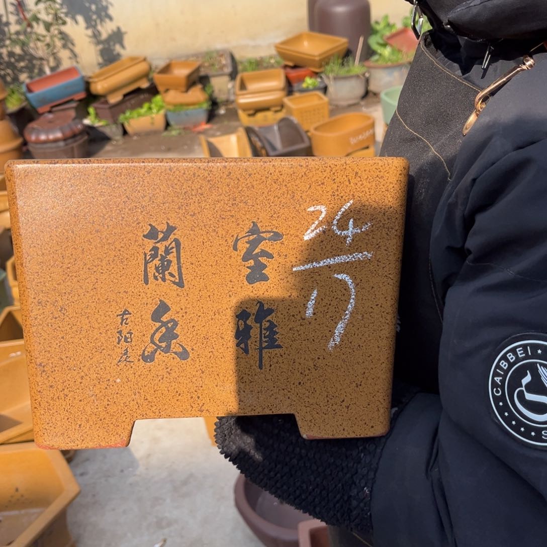 紫砂花盆盆景艺术