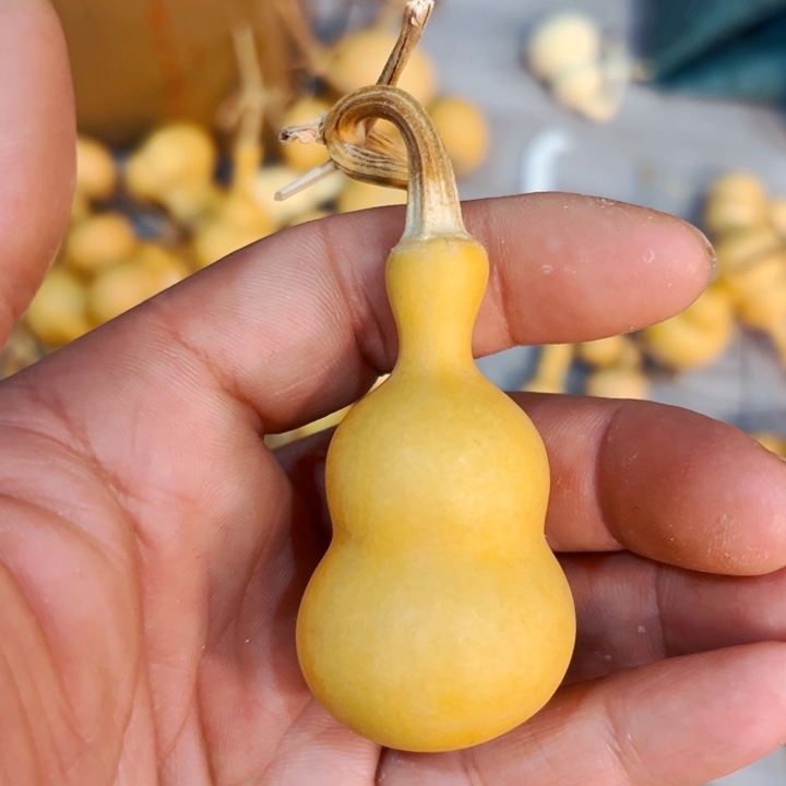 阿*文玩葫芦八宝葫芦