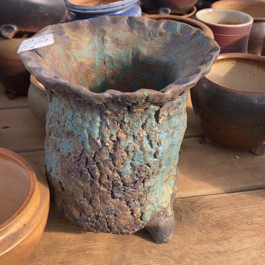 7，号多肉盆口径14