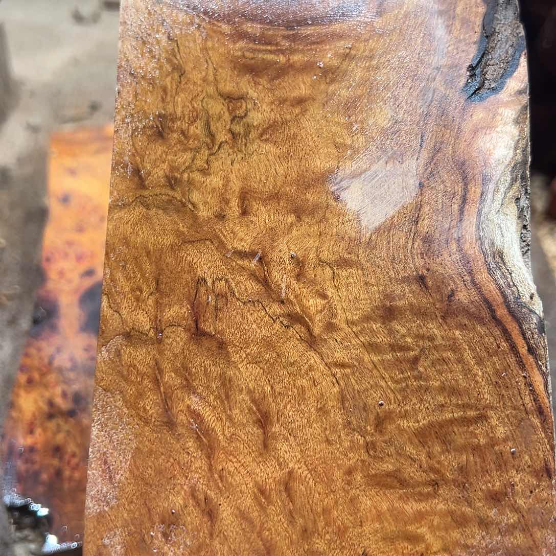 非洲檀香无事牌不***生