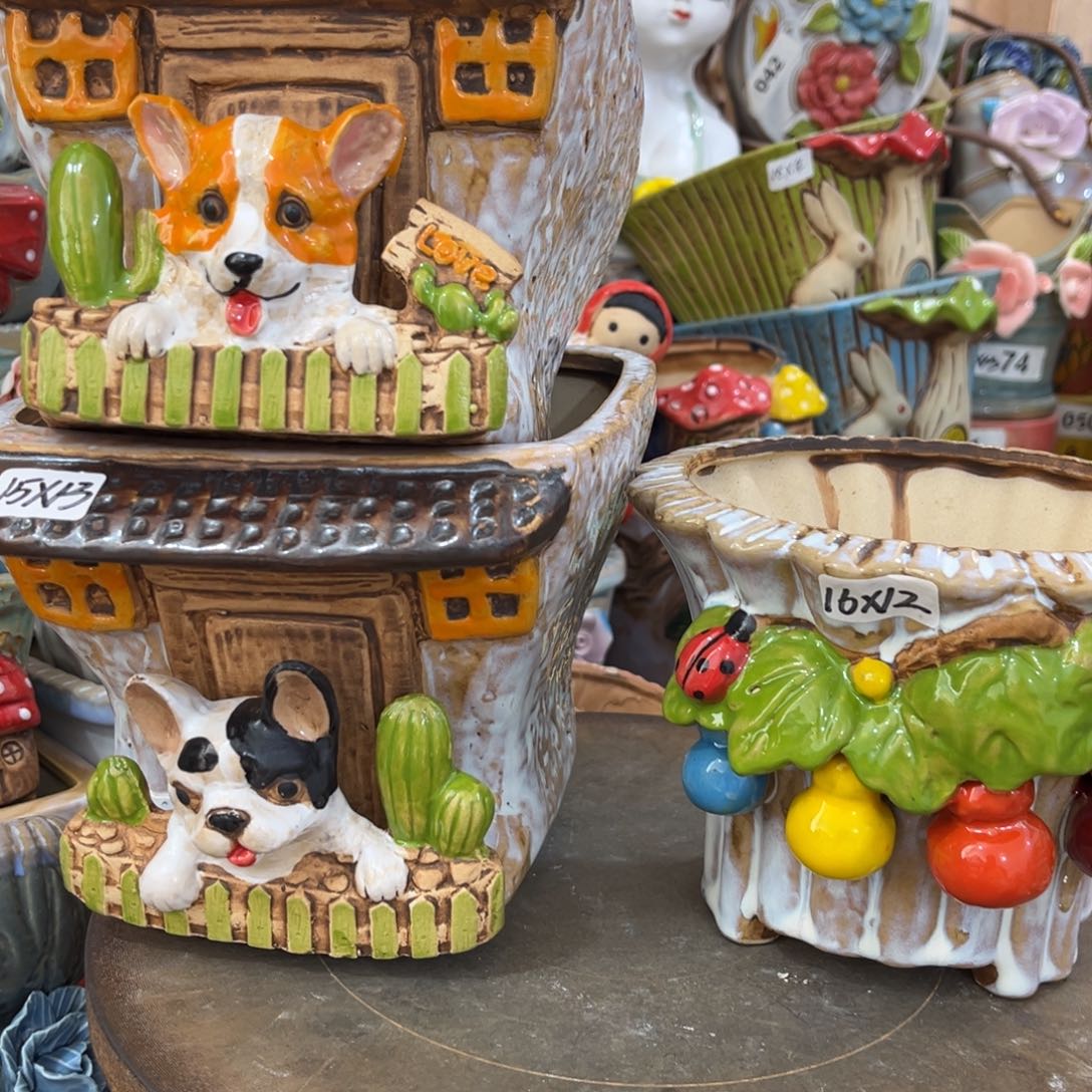 潘***茸凑满15包邮发货发货开播