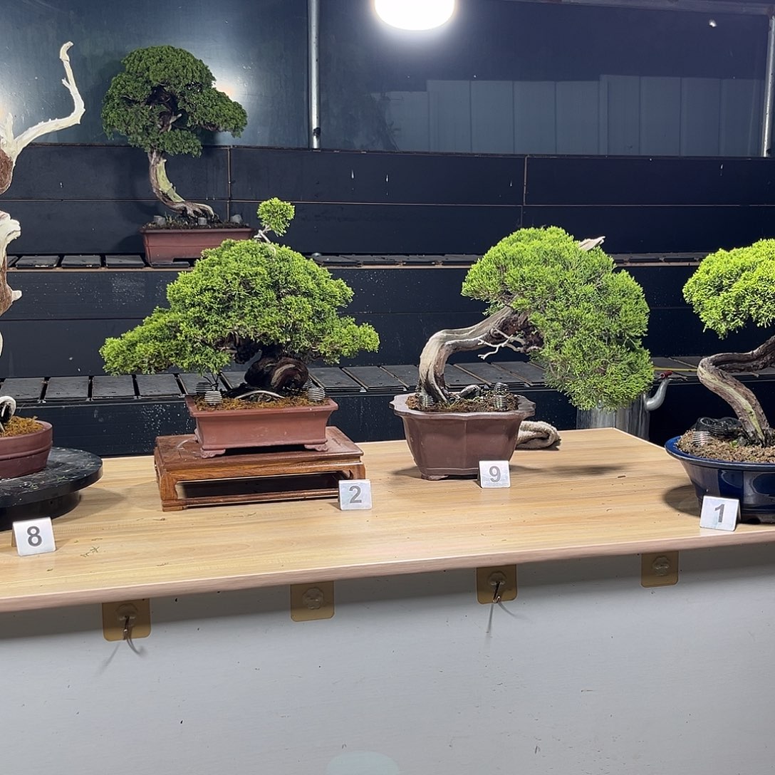 无花朵截图都看着自己在干什么