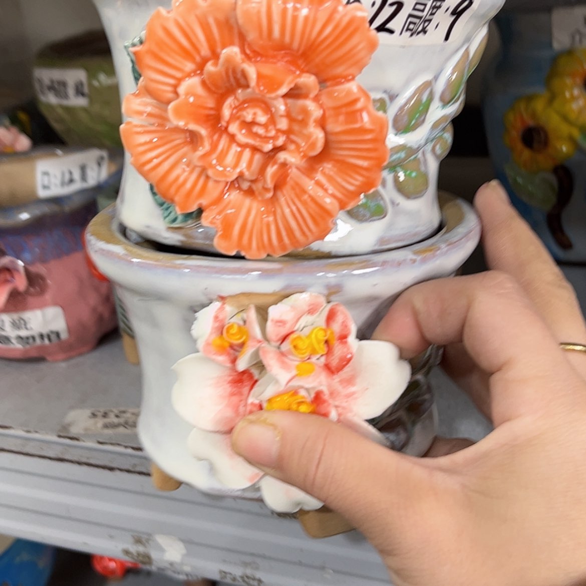 【闪购商品】红陶福利