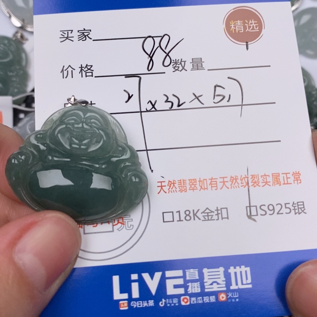 翡翠银S925镶嵌颈饰
