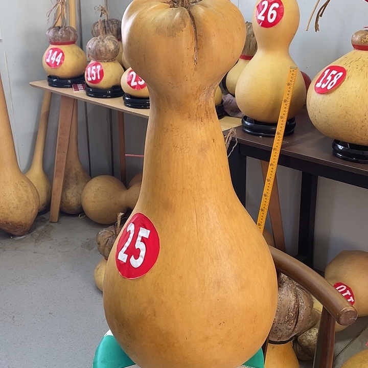 香榧木大莲花头的单独葫芦