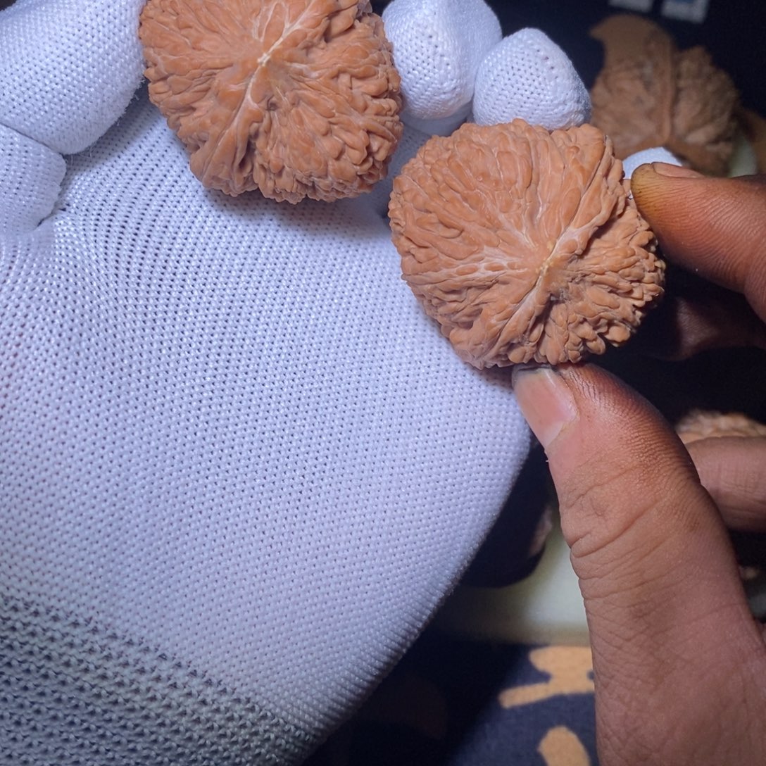 文玩核桃全品福利大蒜头38尺寸