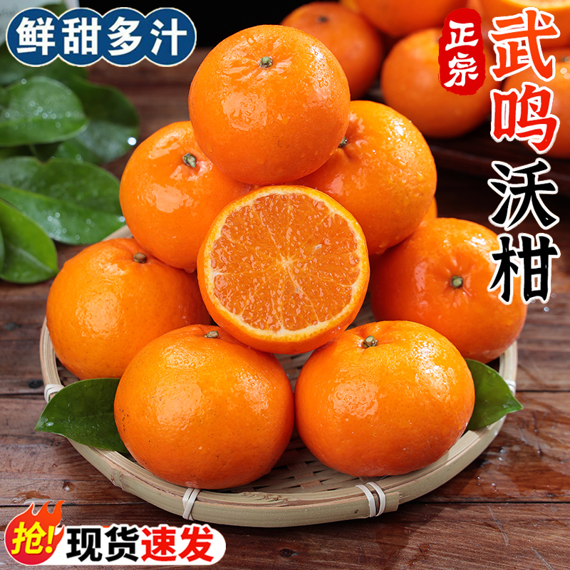 C6【产地直发】正宗广西武鸣沃柑当季新鲜水果橘子柑橘大果香甜多汁