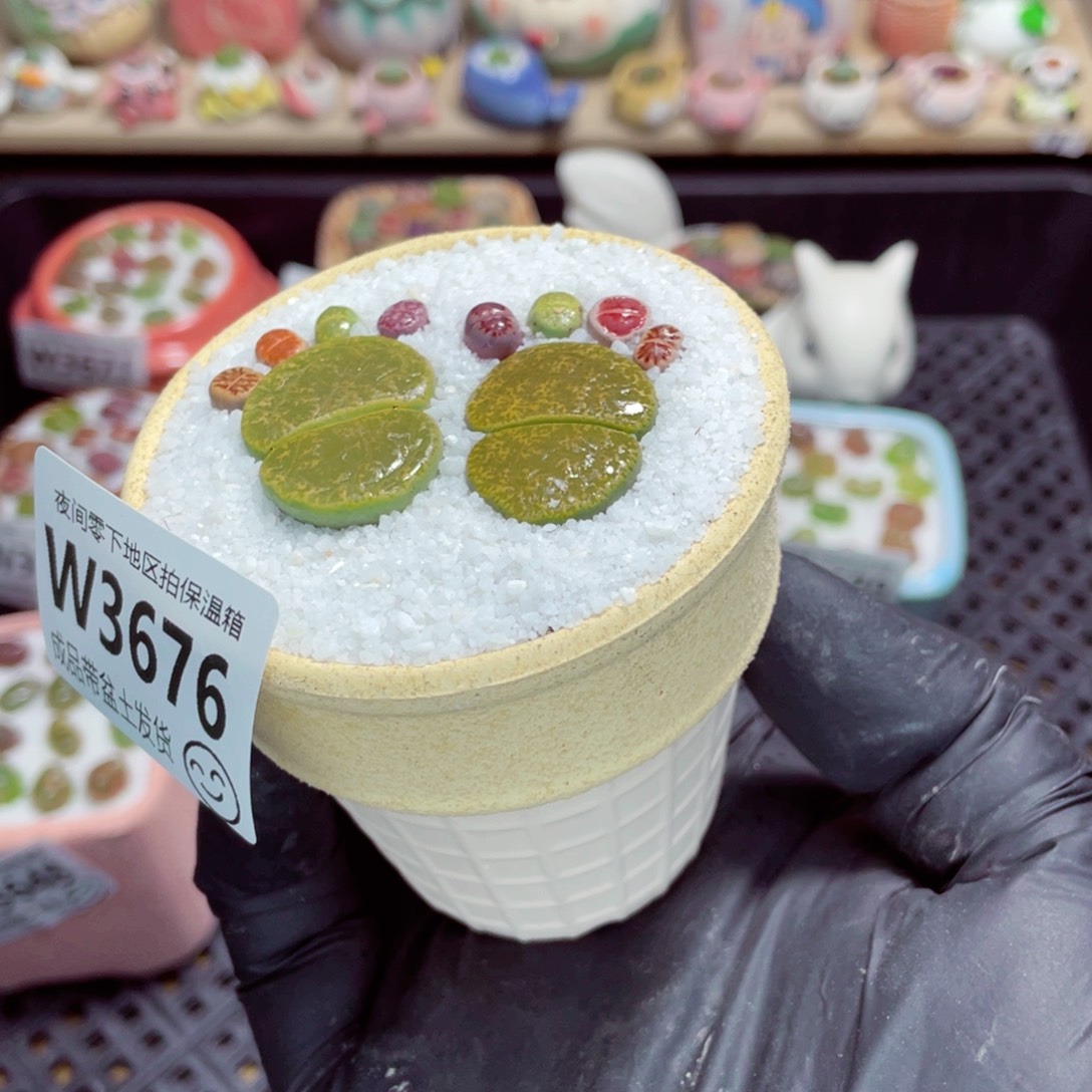 夜间零下地区拍保温箱w3676